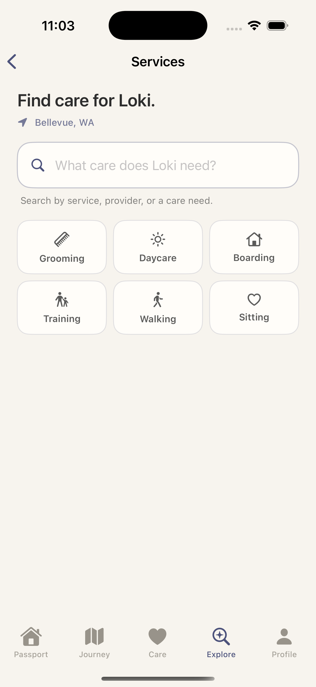 Current Pawspods Services screen offering grooming, daycare, boarding, training, walking, and sitting for Loki